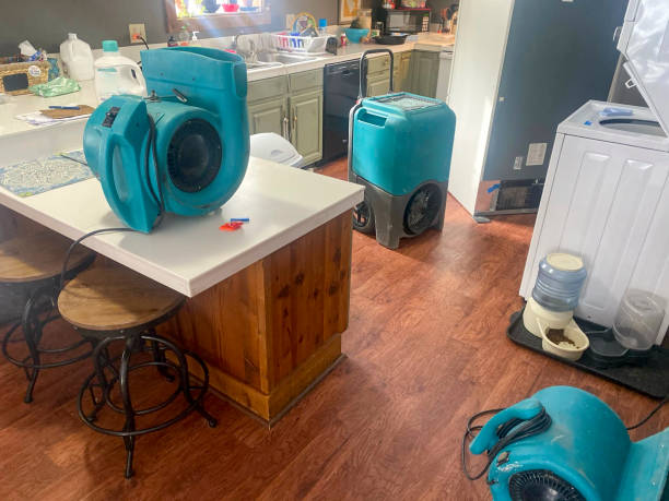 Best Mold removal after water damage  in Early, TX